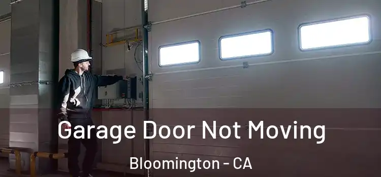  Garage Door Not Moving Bloomington - CA